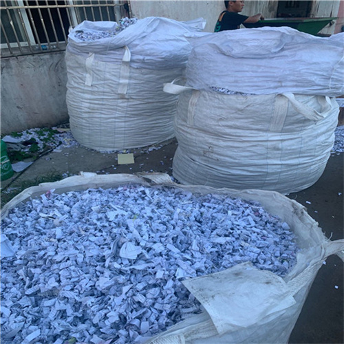 550废纸销毁 (3).jpg